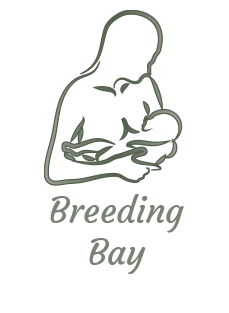Breeding Bay